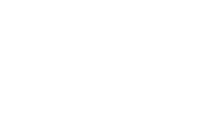 ddl tuning logo